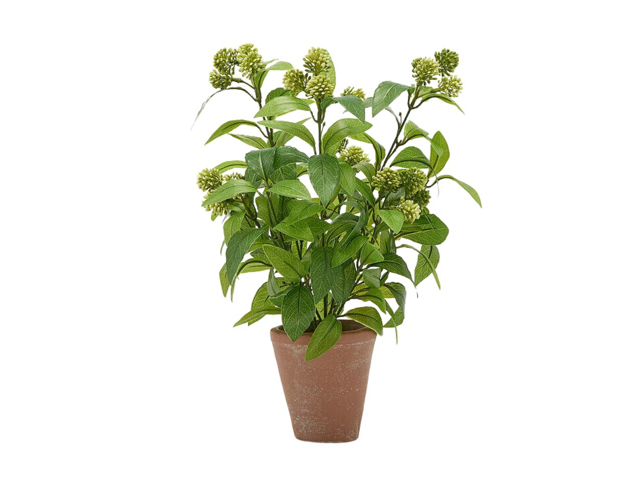 VIBURNO 38CM CON VASO VERDE CHIARO 2300525A771