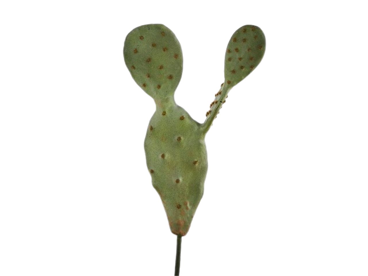 PALA FICO D INDIA 38CM VERDE 231674880