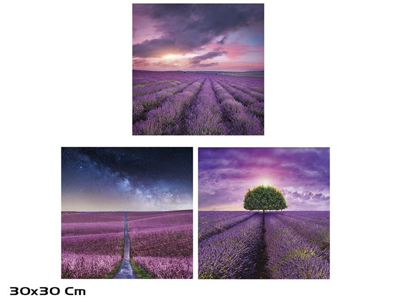 QUADRO 30X30CM IN 3 ASSORTIMENTI