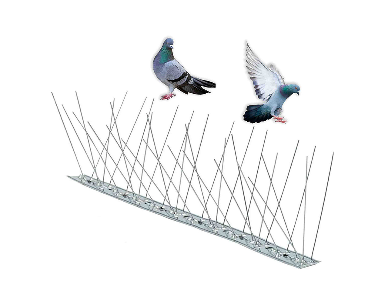 DISSUASORE PER UCCELLI 80 SPILLI 100CM 11150 DISSUASORE PER UCCELLI 80 SPILLI 100CM 11150