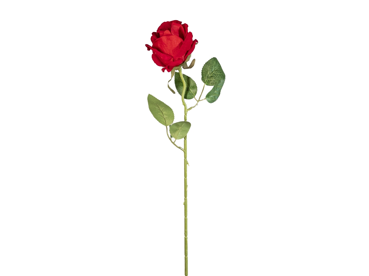 ROSA VELVET AMOUR ROSSA 50CM 2700302-03