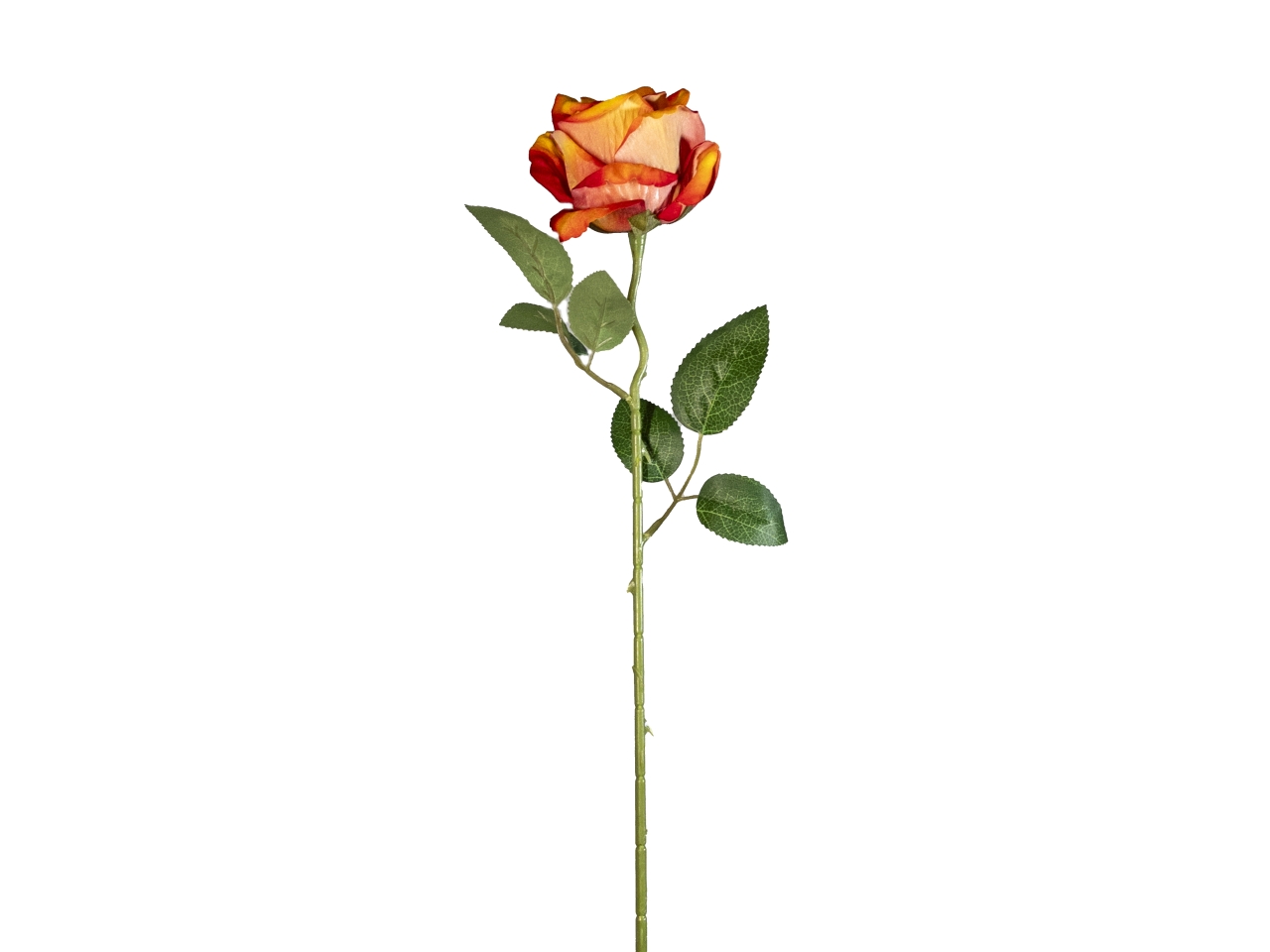 ROSA VELVET AMOUR ARANCIONE 50CM 2700302-14