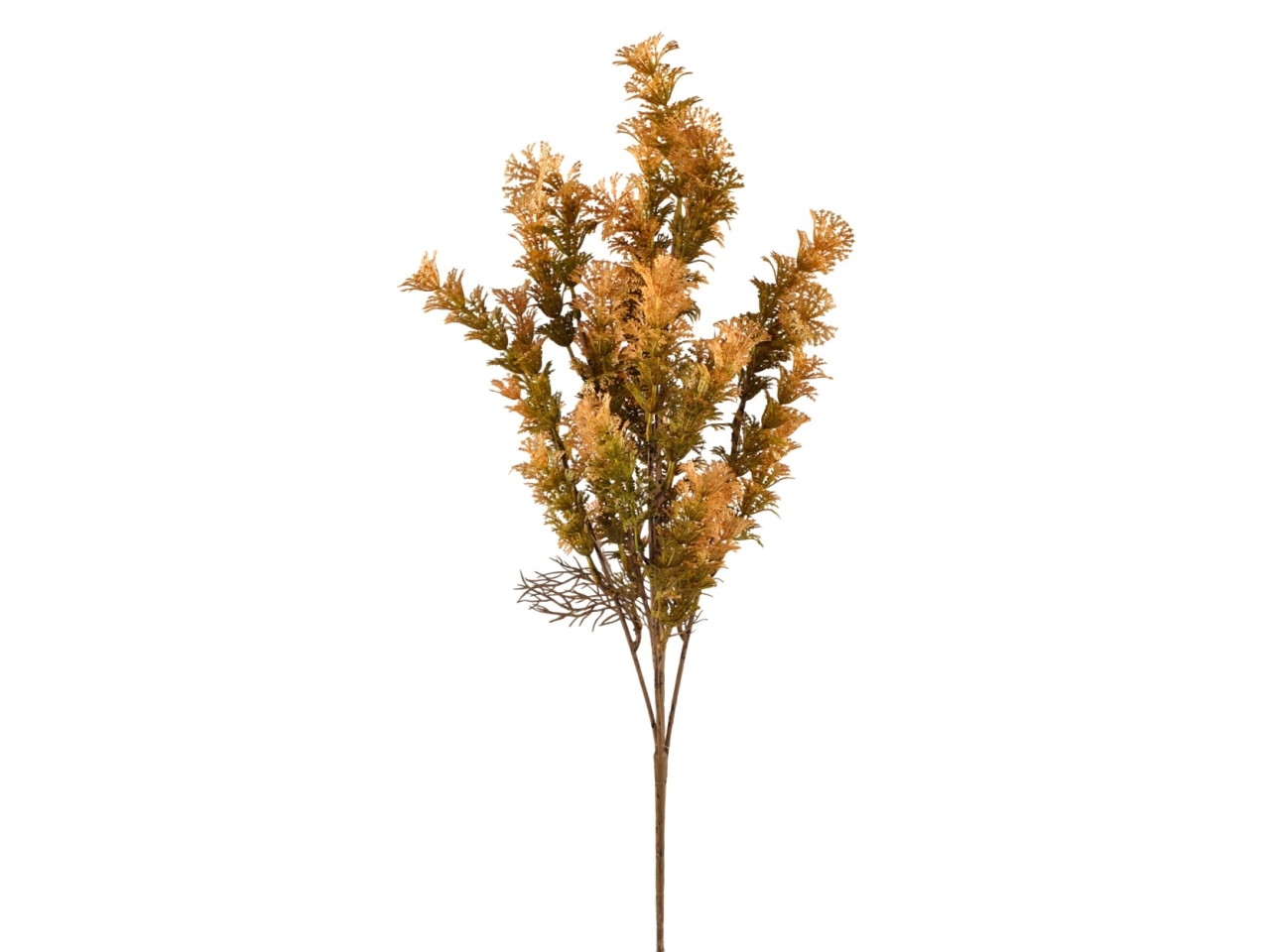 MAZZO FELCE AZOLLA 53CM GIALLO DA000813 4