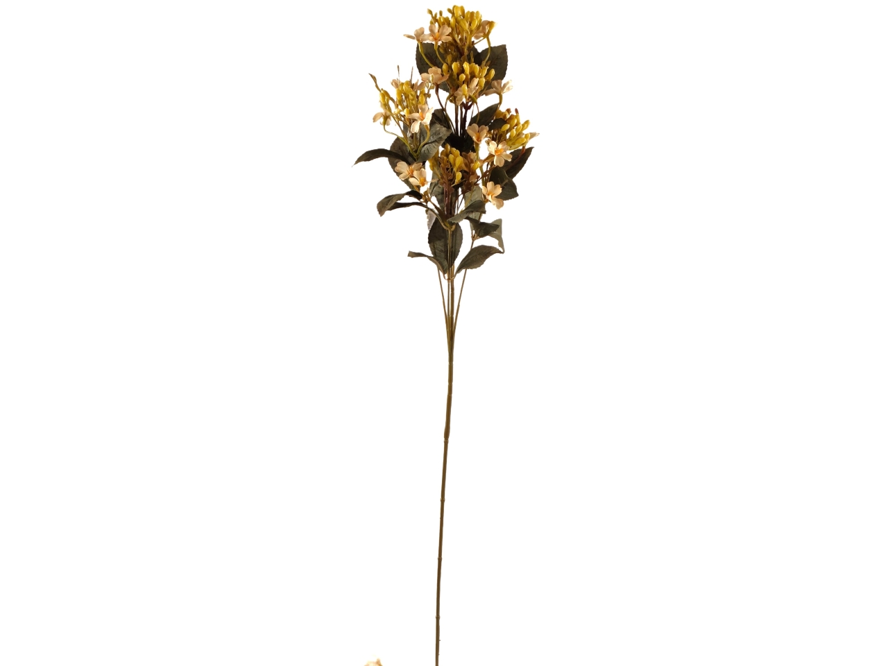 RAMO FIORE DI MELO BEIGE DA000820 117