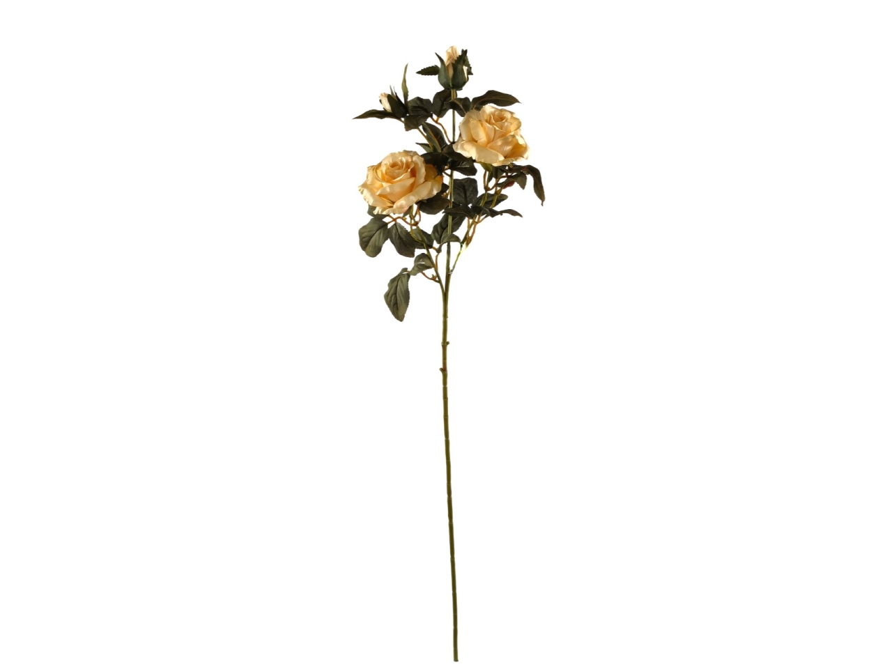 ROSA 67CM C/2 FIORI E 2BOCCIOLI BEIGE DA000824 117