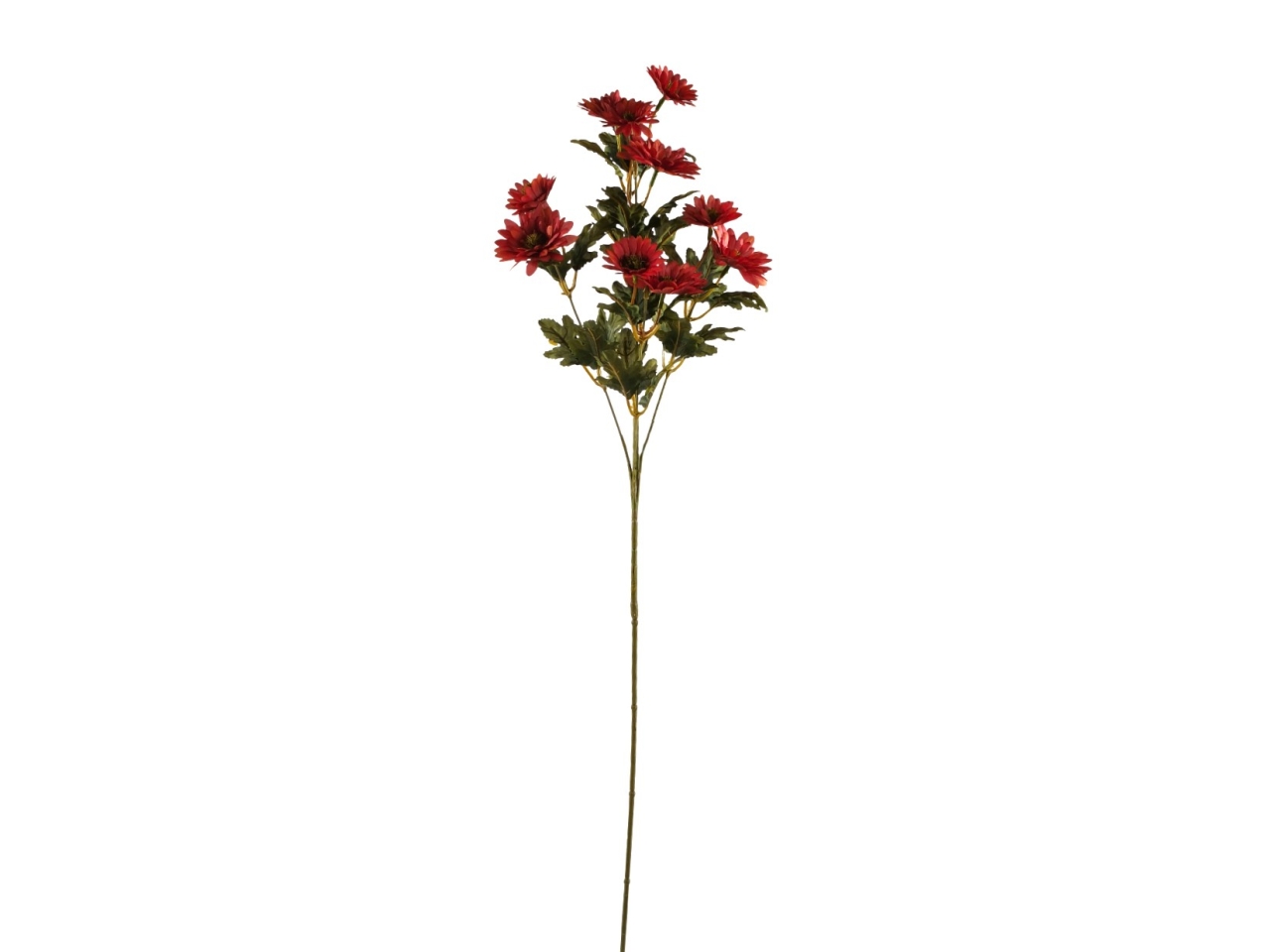 RAMO MARGHERITA C/10 FIORI FUCSIA DA000829 17 RAMO MARGHERITA C/10 FIORI FUCSIA DA000829 17