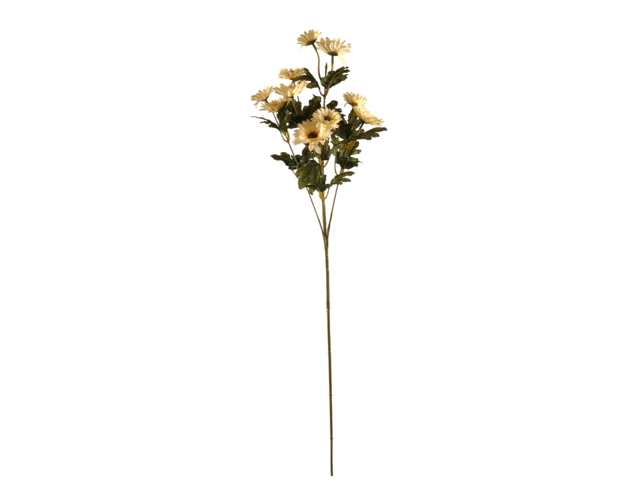 RAMO MARGHERITA C/10 FIORI BEIGE DA000829 117 RAMO MARGHERITA C/10 FIORI BEIGE DA000829 117