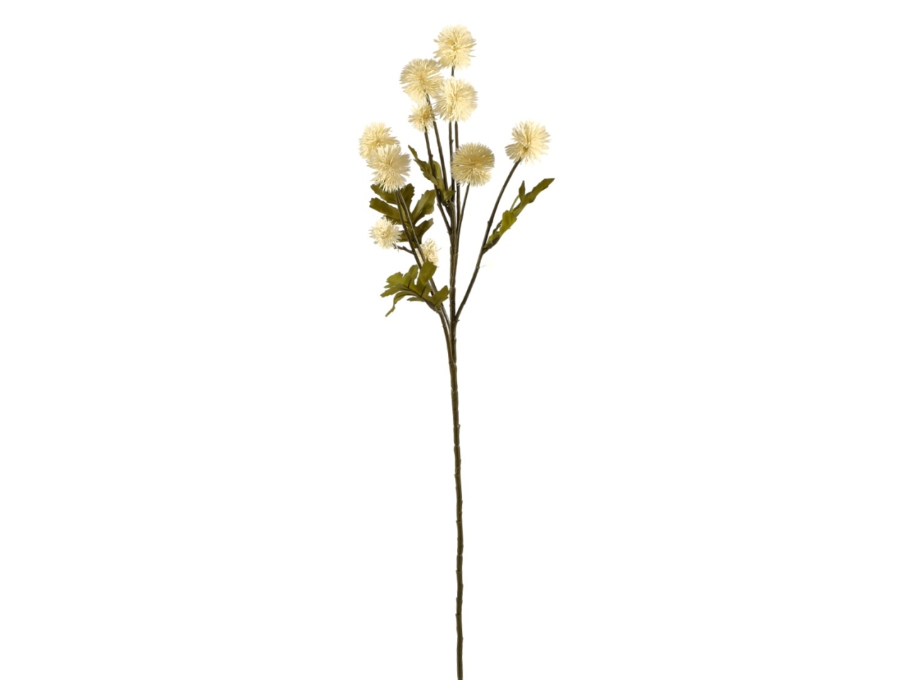 RAMO XANTHIUM 61CM C/10 FIORI AVORIO DA000856 87