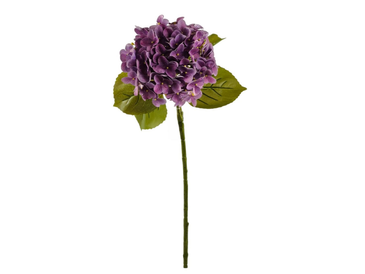 ORTENSIA SINGOLA LAVANDA DS004076 20 ORTENSIA SINGOLA LAVANDA DS004076 20