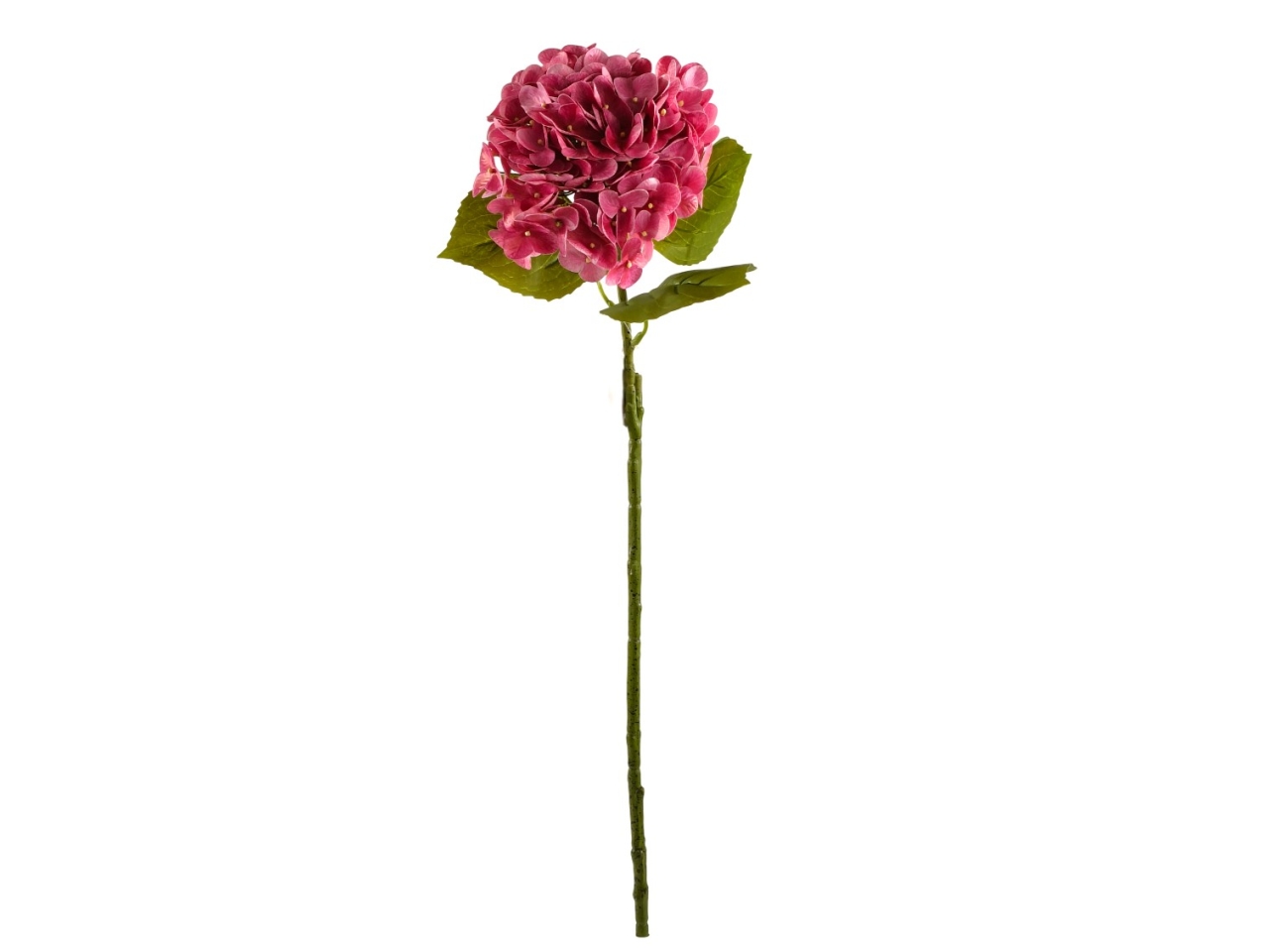 ORTENSIA SINGOLA ROSA DS004076 3 ORTENSIA SINGOLA ROSA DS004076 3
