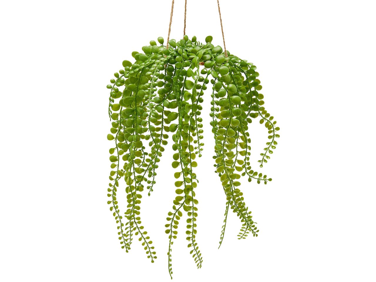 DISCHIDIA CADENTE APPENDERE H.35XD.13 2300290A771