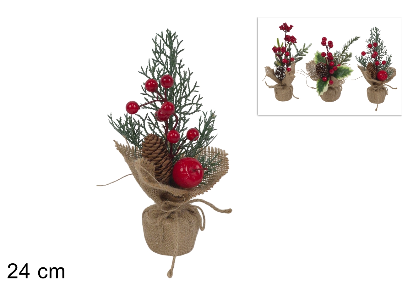 PIANTA 24CM C/BACCHE E PIGNE 3ASS XNA25055451