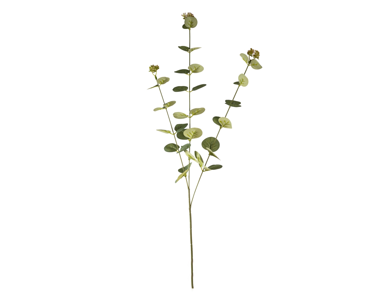 RAMO EUCALIPTO X3 NATURALE 2680313 00 RAMO EUCALIPTO X3 NATURALE 2680313 00