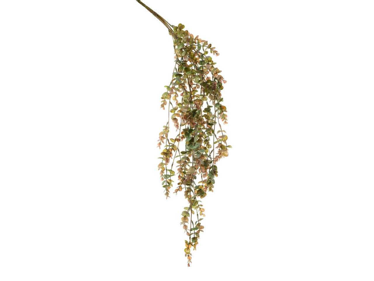 EUCALIPTO RAMO 80CM MAUVE 18160037 06