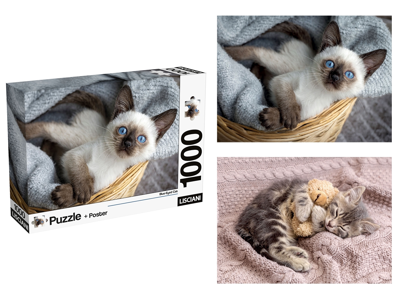 PUZZLE POSTER CATS 1000 120543