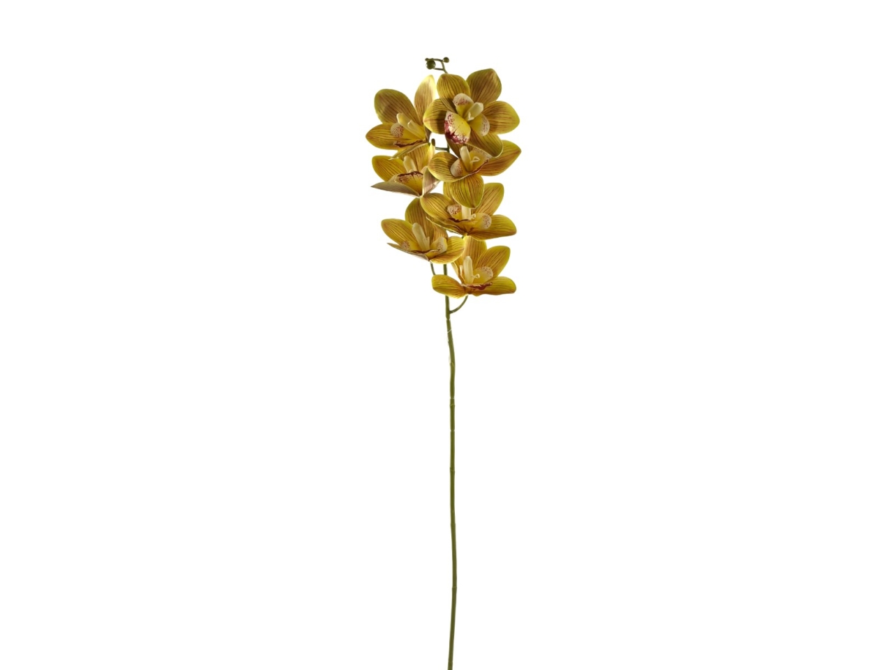 RAMO ORCHIDEA 7FIORI VERDEDS004082-1