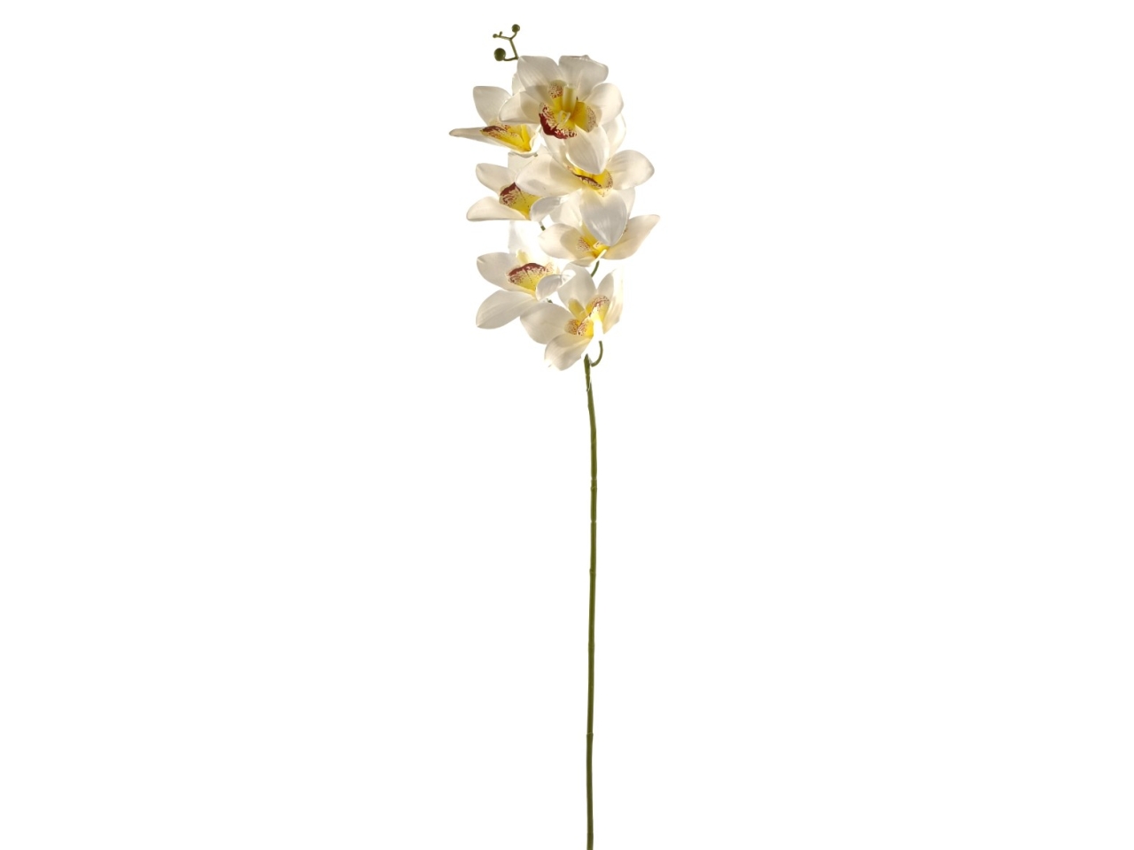 RAMO ORCHIDEA 7FIORI CREMADS004082-5