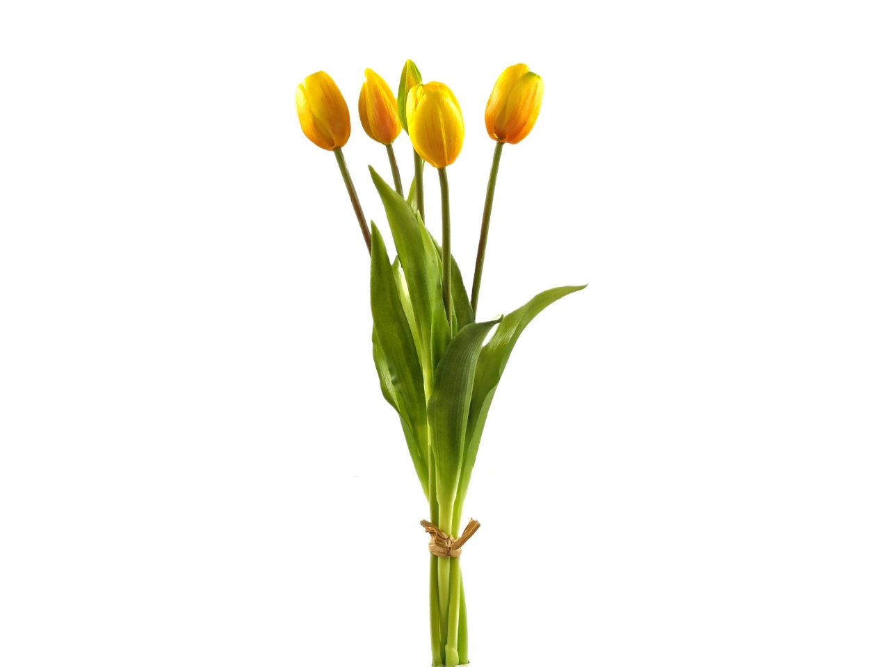 MAZZO TULIPANI 38CM 5 FIORI GIALLODS003413-4