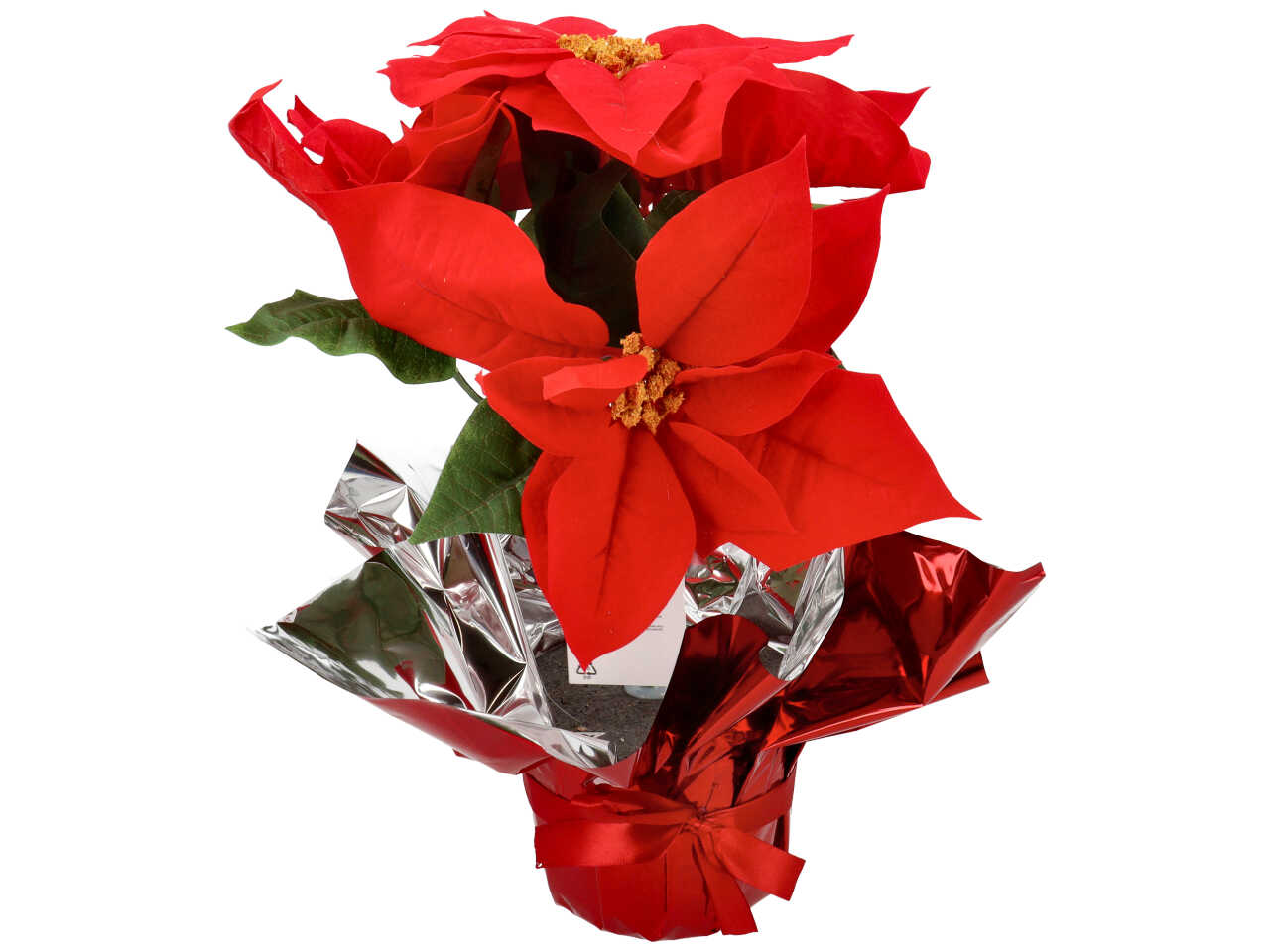 PIANTA STELLA DI NATALE 40CM ROSSA 743001