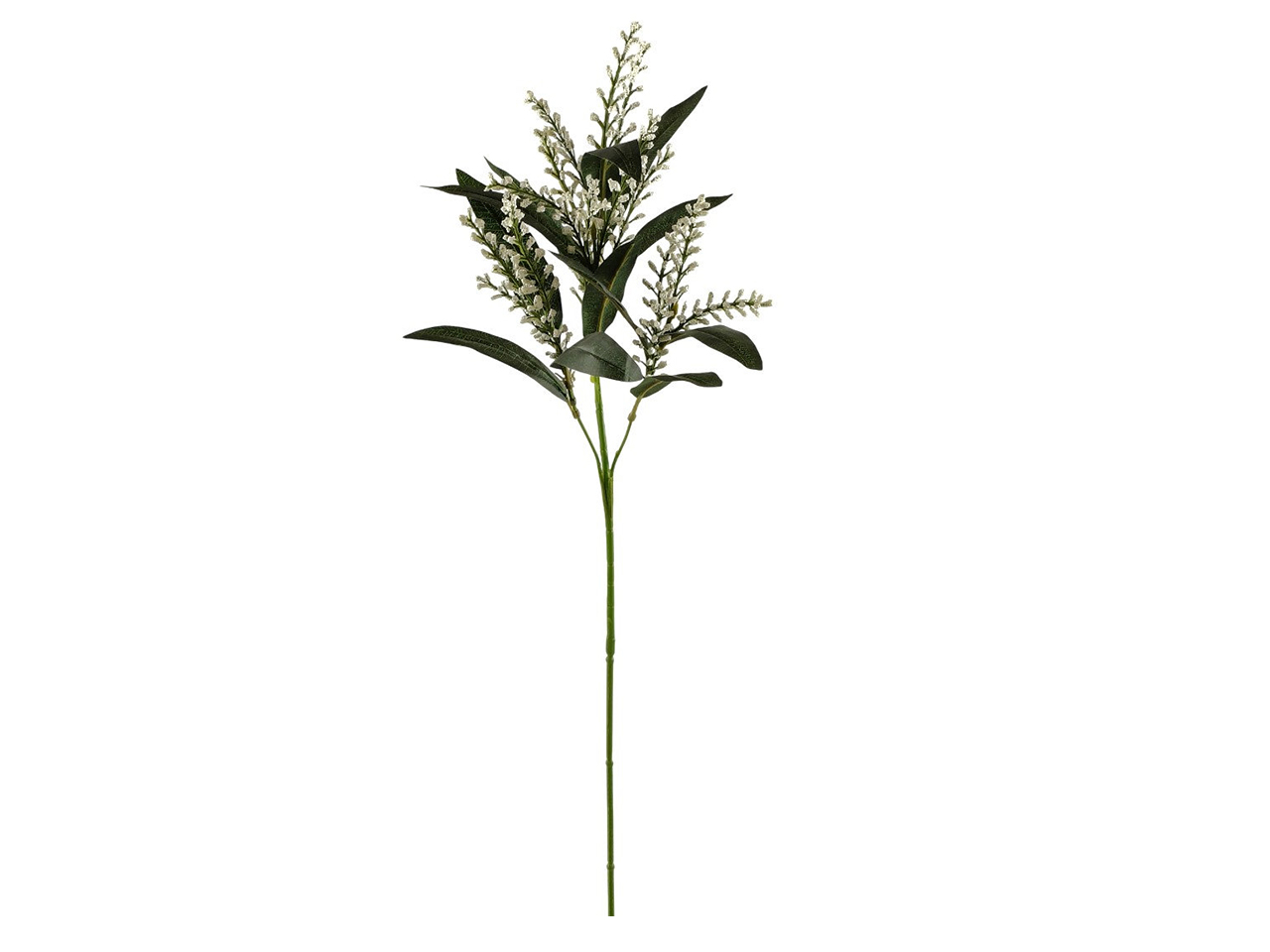DOG-TAIL SPRUZZATA X 4 CREMA DS003259-5