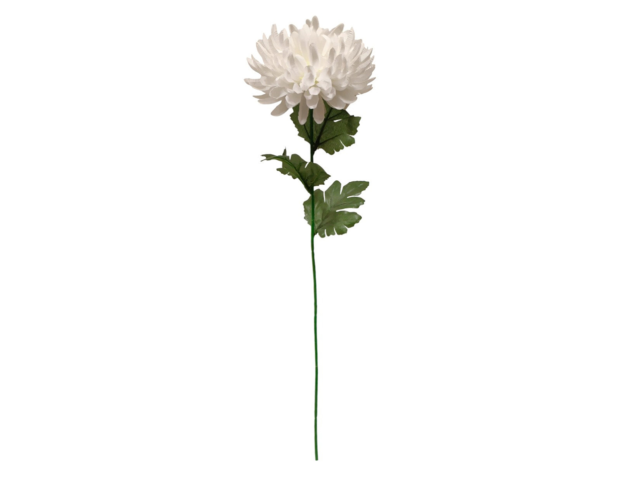 MUM SPRAY RAMO SINGOLO CREMA DS000477-5